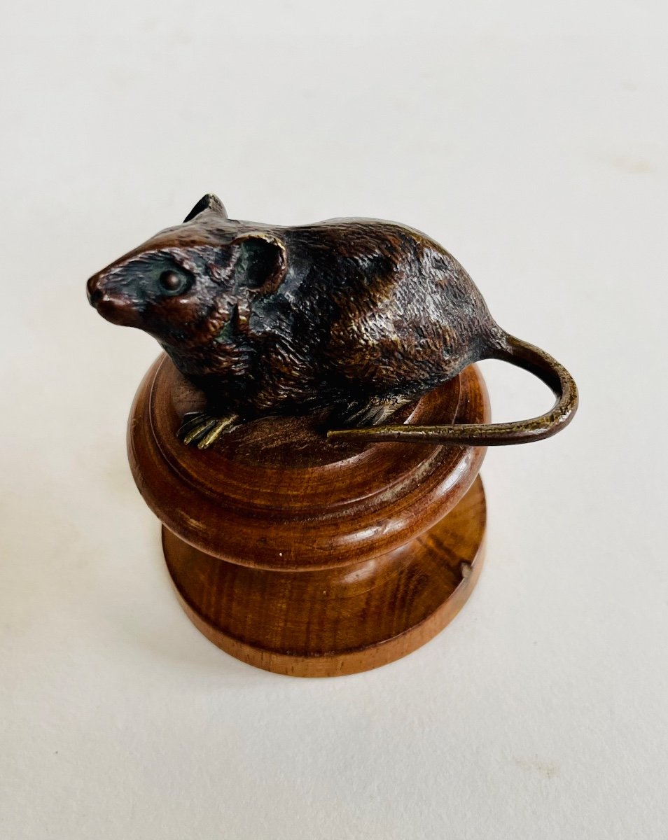 Souris Bronze De Vienne -photo-1